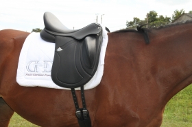 Essai de la selle de dressage Bates INNOVA - Padd sellerie Clermont-Ferrand